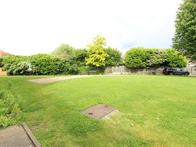 Picture 14